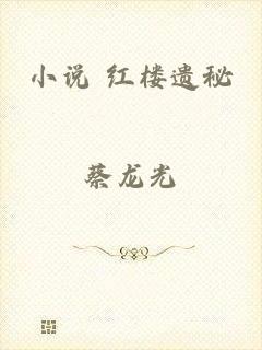 小说 红楼遗秘